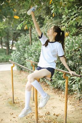 滤镜电视剧免费观看全集高清