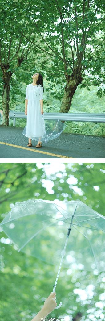 黄雀电视剧全集免费观看高清版