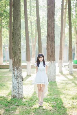 免费观看电视剧全集在线播放高清