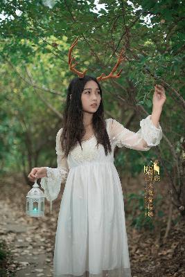 樱花动漫官网官方入门网站入口