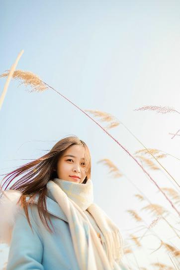 国产大片在线观看免费全集电视剧网