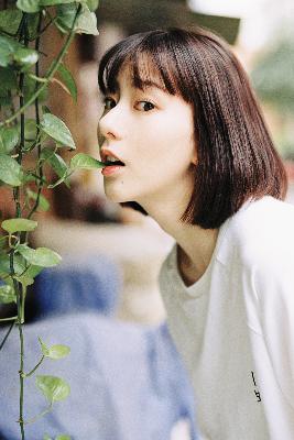 新奥天天彩最精准大全