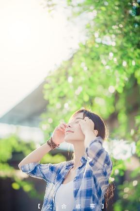 树下有片红房子电视剧免费观看全集