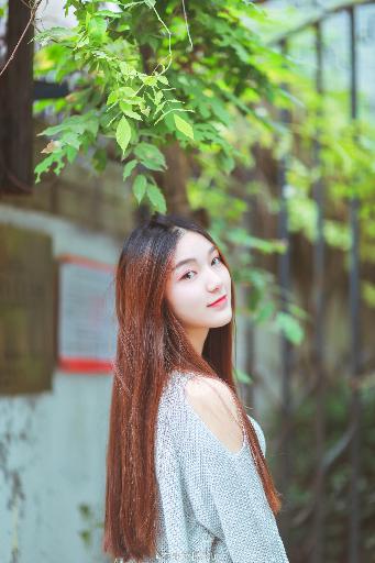 麻雀电视剧免费全集观看