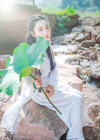 你是我的荣耀电视剧免费观看完整版