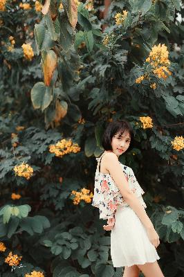 花儿与少年第五季免费观看完整版