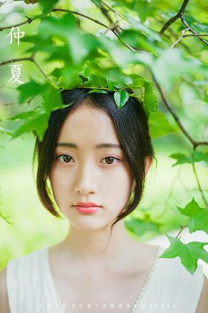 斗破苍穹动漫在线观看完整版免费