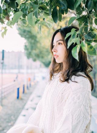 青柠影视免费高清电视剧