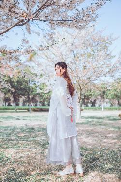 你是我的荣耀电视剧免费观看完整版