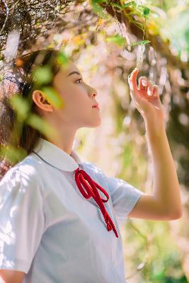 护心电视剧免费观看全集在线播放