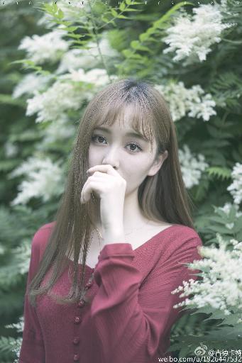 在线观看免费高清电影完整