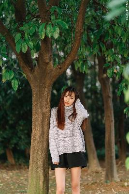 2025中文在线字幕免费观看电视剧