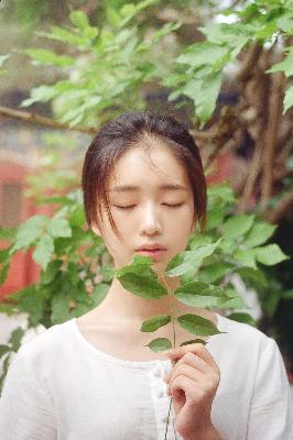 斗罗大陆观看免费完整版