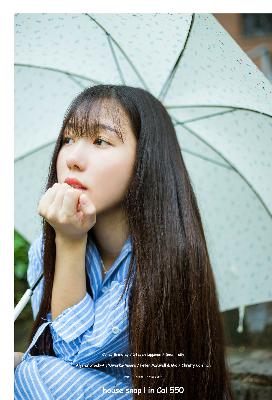 炽道电视剧全集免费观看