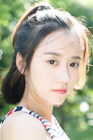 免费观看电视剧全集在线播放高清