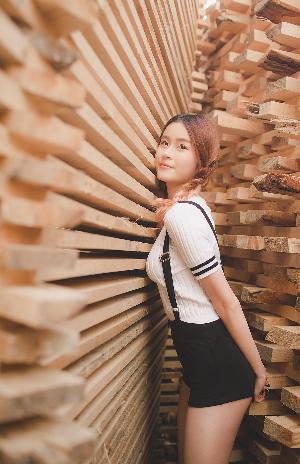 欢乐家长群2电视剧免费播放完整版