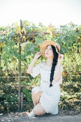 白月梵星电视剧在线观看全集免费播放