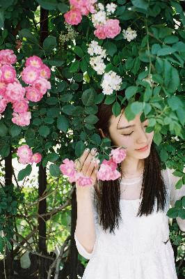 小巷人家电视剧在线观看全集