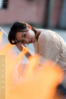 大明风华电视剧全集免费观看