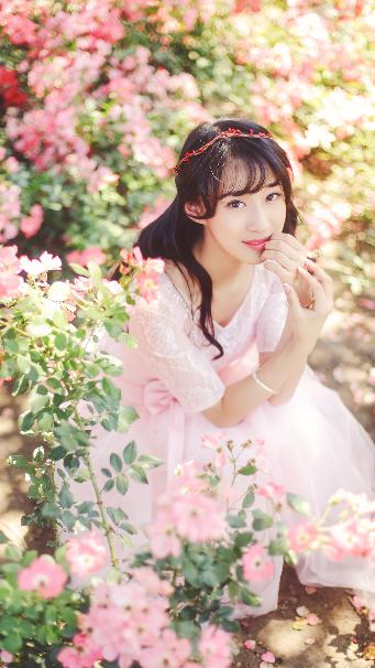 警察锅哥40集电视剧免费完整版