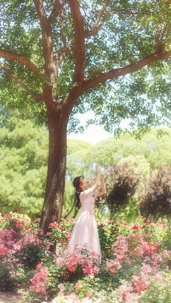 免费大片观看视频网站