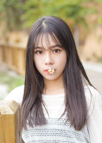 成全在线观看免费观看全集