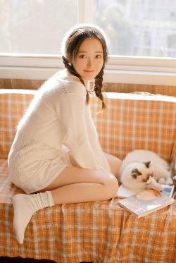 中文免费高清在线观看电视剧全集爱