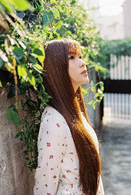 国产在线观看全集电视剧网站