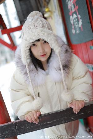 2026新澳正版资科免费实