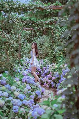 丁香花影院在线观看免费播放电视剧