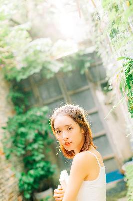 我的兄弟叫顺溜电视剧全集免费观看