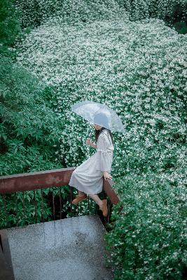 看片免费的网站