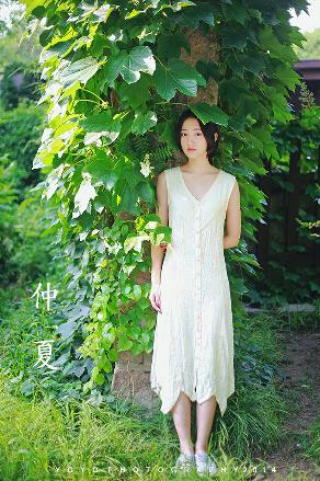 小巷人家演员表