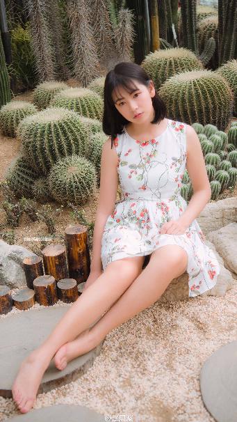 古装剧大全古装电视剧免费观看