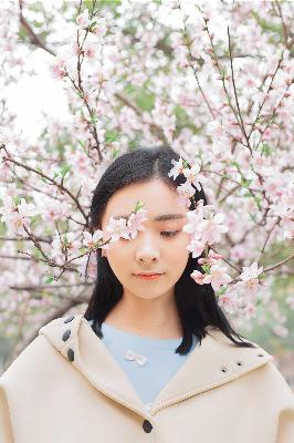 知否知否应是绿肥红瘦全集