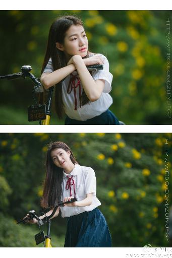 麻雀电视剧免费全集观看