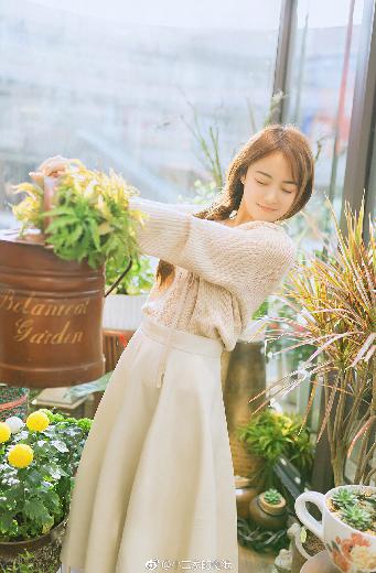 运钞大劫案2025在线观看免费版