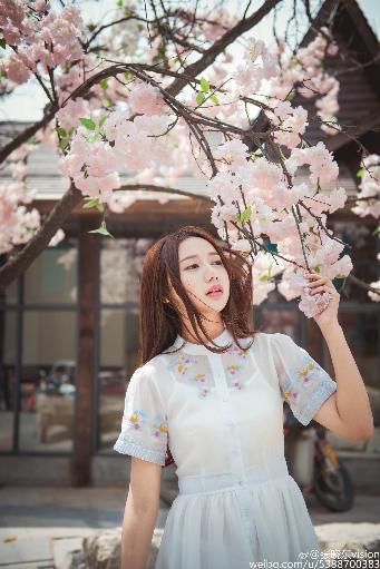 逍遥电视剧免费观看