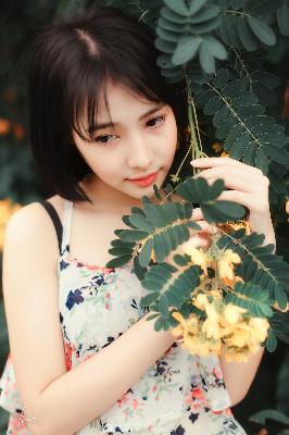 办公室3在线观看免费版电视剧大全